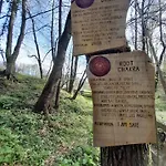 Bionic Healing Village