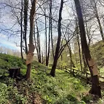 Bionic Healing Village Ferienhaus