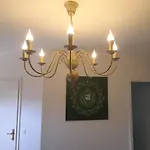 Bionic Healing Village *