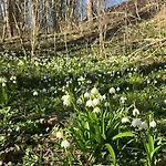 Bionic Healing Village