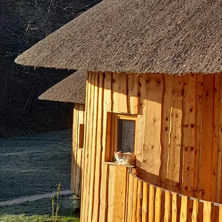 Glamping Bionic Healing Village Slovenska Bistrica