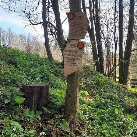 Glamping Bionic Healing Village *