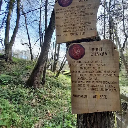 Glamping Bionic Healing Village