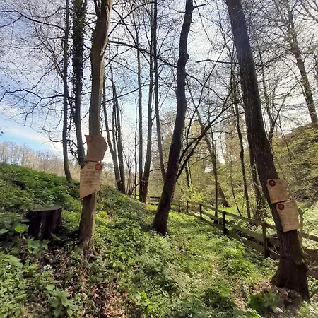 Glamping Bionic Healing Village Tatil Evi