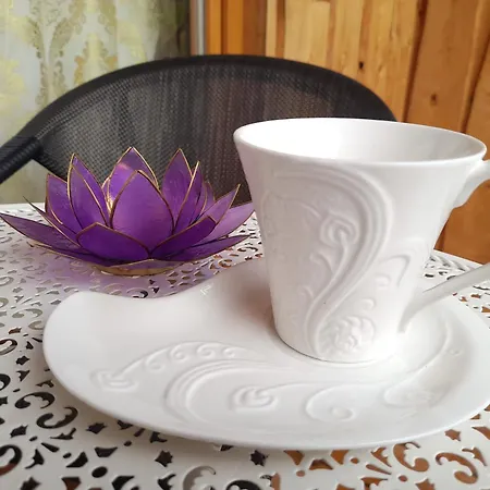 Glamping Bionic Healing Village Tatil Evi Slovenska Bistrica