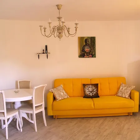 Bionic Healing Village