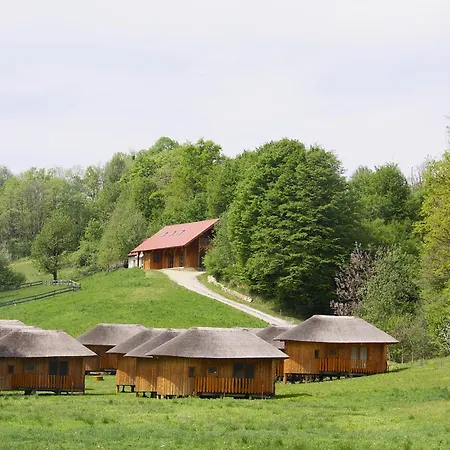 Glamping Bionic Healing Village