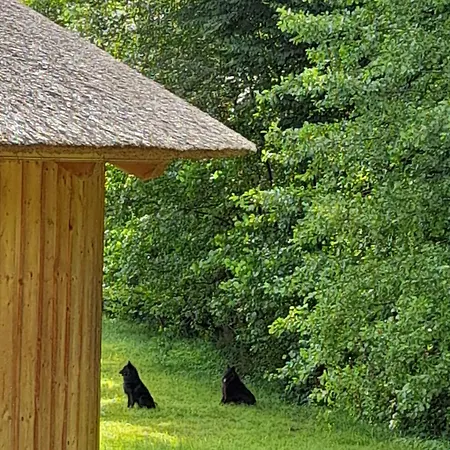 Glamping Bionic Healing Village Slovenska Bistrica