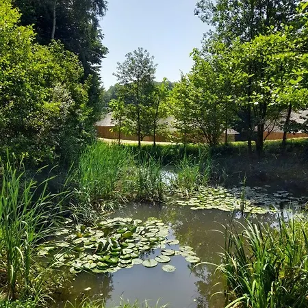 Bionic Healing Village * スロヴェンスカ・ビストリツァ