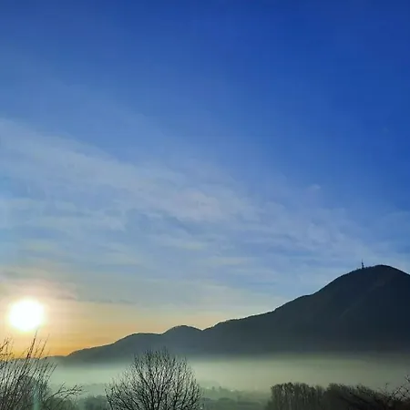 Bionic Healing Village