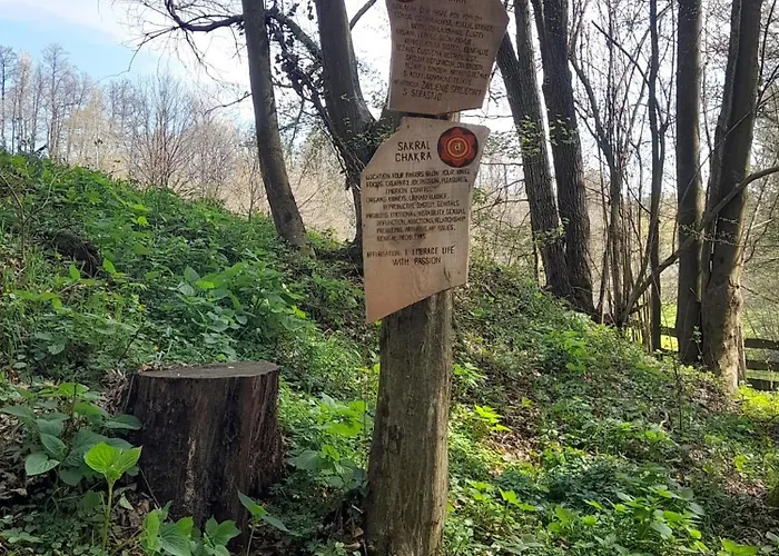 Bionic Healing Village *