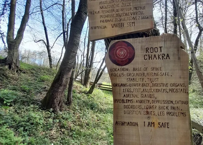 Bionic Healing Village