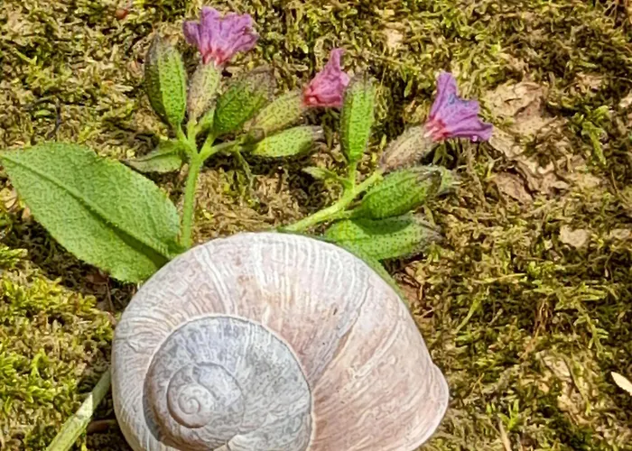 Σπίτι διακοπών Bionic Healing Village