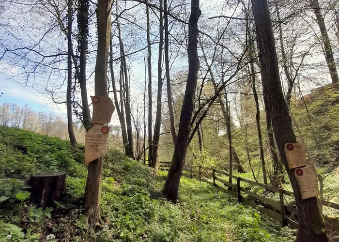 Bionic Healing Village 度假居