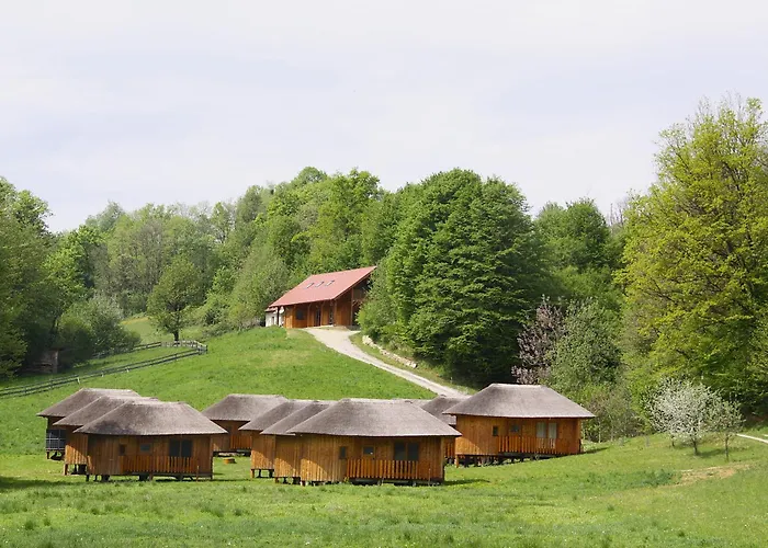 Bionic Healing Village