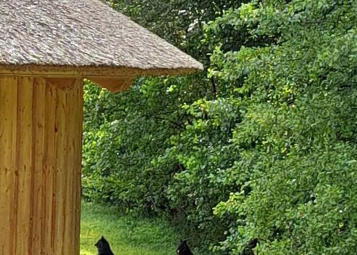 Bionic Healing Village 슬로벤스카비스트리카