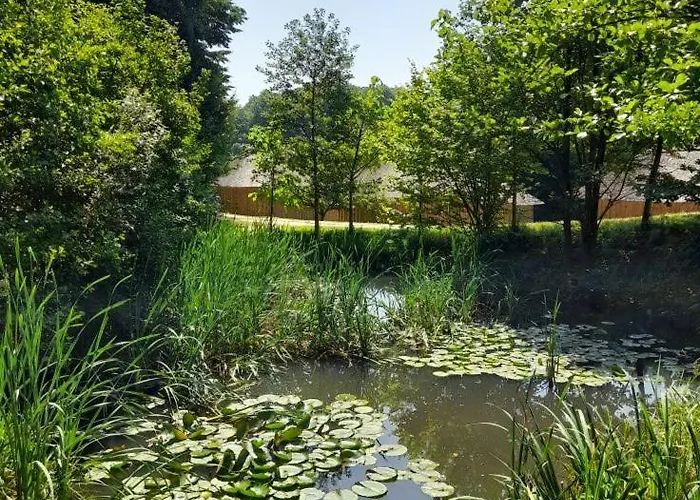 Bionic Healing Village * 斯洛文斯卡比斯特里卡