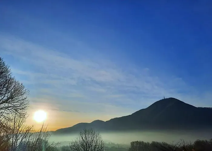 Bionic Healing Village